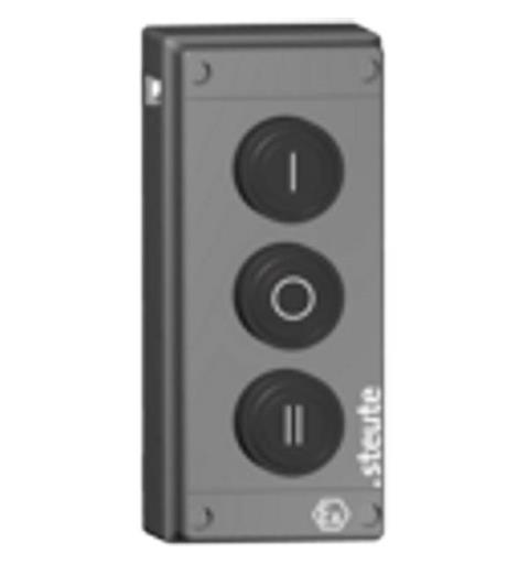 Ex Radio Command Ex RF BF 80 3 DT/DT/DT IP67 II 2G Ex ib IIC T6 (Energy gen.)